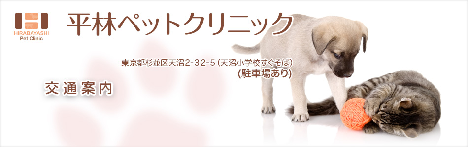 当院では、『地域のかかりつけ医』として患者さんのケガ、病気について細やかな対応を重視し、飼い主様が安心して何でも相談できる医療体制を目指します。どうぞ宜しくお願い致します。