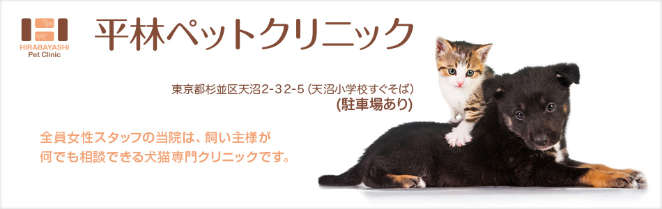 当院では、『地域のかかりつけ医』として患者さんのケガ、病気について細やかな対応を重視し、飼い主様が安心して何でも相談できる医療体制を目指します。どうぞ宜しくお願い致します。