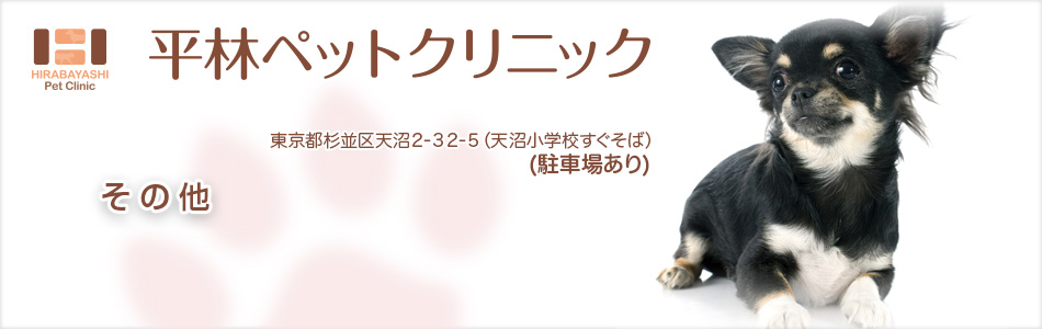 当院では、『地域のかかりつけ医』として患者さんのケガ、病気について細やかな対応を重視し、飼い主様が安心して何でも相談できる医療体制を目指します。どうぞ宜しくお願い致します。